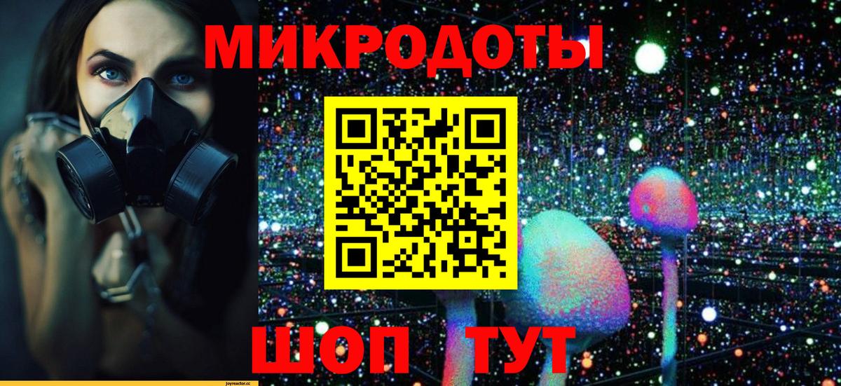 Псилоцибиновые грибы GOLDEN TEACHER  Вход с VPN  цена   Вязьма 